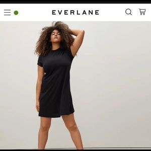Everlane Weekend Swing Dress NWT
